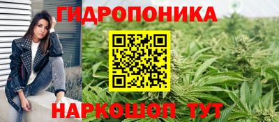 mdpv Дубна