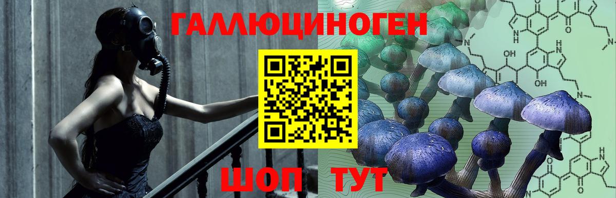 Галлюциногенные грибы Magic Shrooms Кызыл
