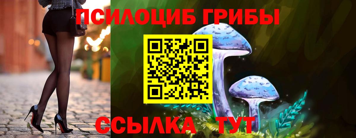 Кызыл  Галлюциногенные грибы Magic Shrooms  Вход с VPN 